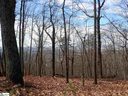 00 Altamont Road Lot 5.01 sold home in Greenville, SC