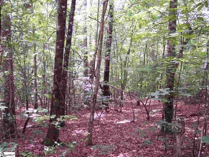 00 Shepherd Springs Drive Lot 12B Shepherd Springs sold lot in Mountain Ridge Estates, Cleveland, SC