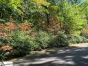 37 Cliff Ridge Drive sold home in Cleveland, SC