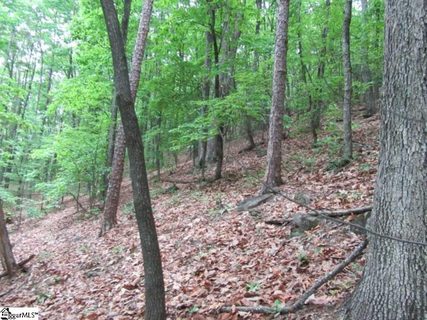 23A Curts Way sold lot in Mountain Ridge Estates, Cleveland, SC