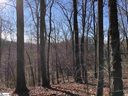 9 Rhone Valley Lane sold home in Travelers Rest, SC