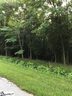 111 Angler Drive Lot 94 sold home in Laurens, SC