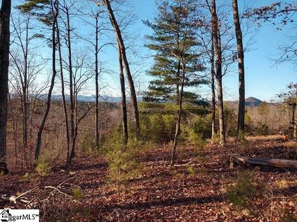 207 Sawyer Lane