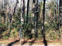 124 Greybridge Road sold home in Pelzer, SC