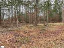 201 Granite Hill Trail Lot 48 sold home in Pelzer, SC