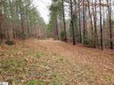 863 Dunklin Bridge Road Lot 24 sold home in Fountain Inn, SC