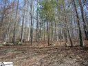 227 Luberon Lane sold home in Travelers Rest, SC