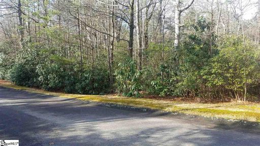 220 Conifer Falls Road