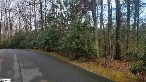 196 Mountain Laurel