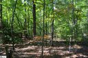 107 Locust Ridge sold home in Cleveland, SC