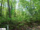 18 Alsace Way sold home in Travelers Rest, SC