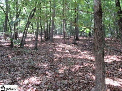 292 Curts Way sold lot in Mountain Ridge Estates, Cleveland, SC