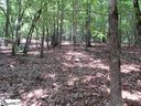292 Curts Way sold home in Cleveland, SC