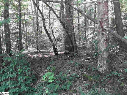 121 Willys Creek Circle