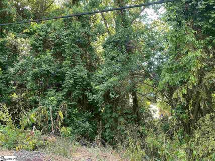Freestone Street sold home in Glendale Heights, Greenville, SC