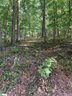 326 Teakwood Drive Lot 65 sold home in Easley, SC