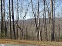 231 Luberon Lane sold home in Travelers Rest, SC