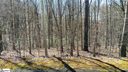 Alsace Way Lot 43 sold home in Travelers Rest, SC