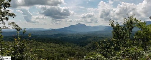 209 Look Off Drive sold lot in Little Bald Rock Club, Cleveland, SC