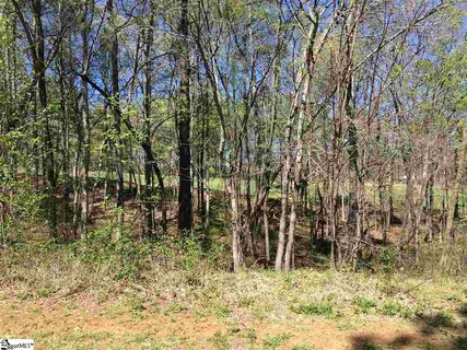 126 Laurel Valley Way Lot 11 Ph III sec 1