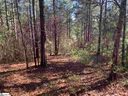 632 Pine Harbor Way sold home in Salem, SC