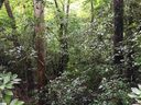 318 Gauley Falls Road sold home in Pickens, SC