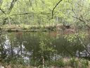 310 Waters Edge Drive sold home in Cross Hill, SC