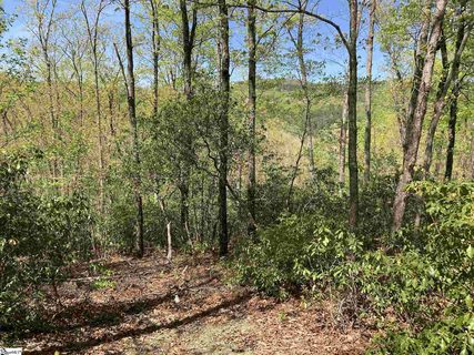 16 Cedar Waxwing Way