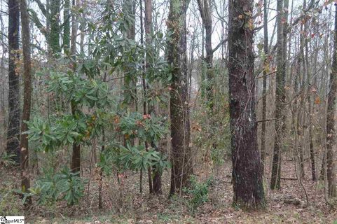 311 Bonita Drive sold lot in Botany Park, Easley, SC
