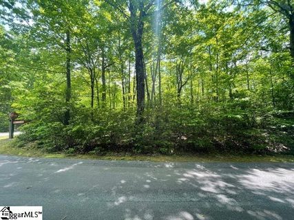 00 Birchbend Road Lot 318