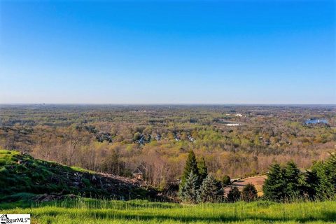 25 Tropicana Court Lot 5 sold lot in City Lights, Greenville, SC