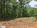 301 Blue Bonnet Trail sold home in Marietta, SC