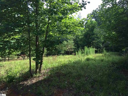109 Falcon Crest Way sold home in Woodmere, Pickens, SC