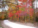 200 Cabernet Way sold home in Travelers Rest, SC