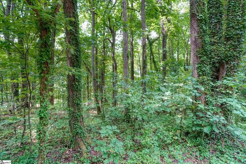 0 Wildflower Lane sold home in Look Up Forest, Travelers Rest, SC