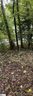 1007 Powderhorn Road sold home in Simpsonville, SC