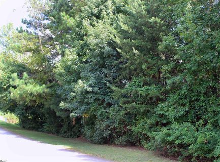 479 Packs Mountain Ridge Road sold lot in Pack Ridge, Taylors, SC