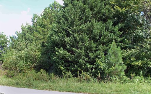 485 Packs Mountain Ridge Road sold lot in Pack Ridge, Taylors, SC
