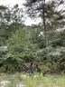 382 Copper Creek Circle sold home in Inman, SC