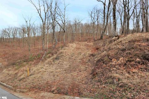 31 Ridley Piper Lane Lot 16 sold home in Pondicherry, Greenville, SC