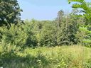 311 Old Rockhouse Road sold home in Greenville, SC