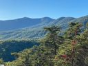 215 Look Off Drive sold home in Cleveland, SC