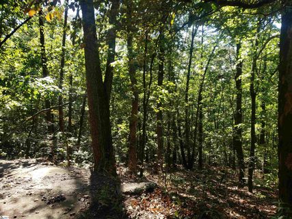 19287 Patrol Club Road sold home in Laurel Ridge, Greenville, SC