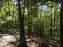 19287 Patrol Club Road sold home in Greenville, SC