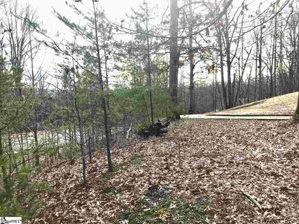 223 Laurel Valley Way Lot 60