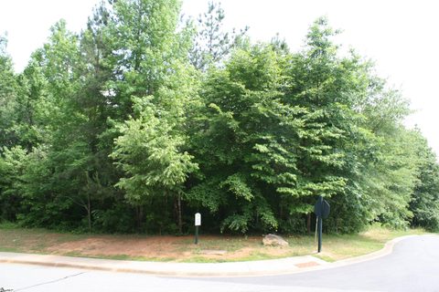 232 Saluda Run Drive