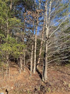 59 Lyle Drive sold lot in Peace Haven, Taylors, SC