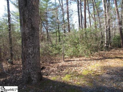 317 Whispering Falls Drive sold lot in Fairway Woods, Pickens, SC