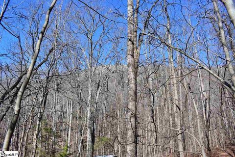 35 Granite Knob Way