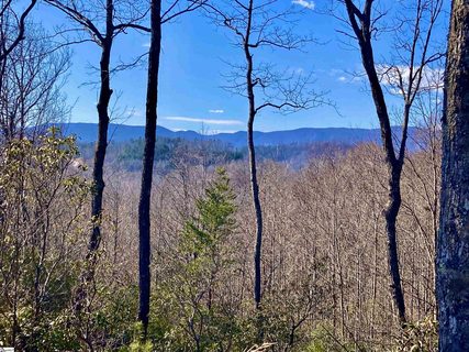 151 Carolina Wren Trail